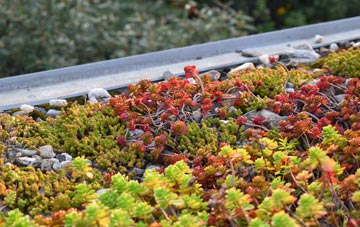 the cost of Preston Upon The Weald Moors green roof installation
