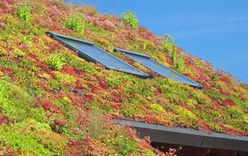 Preston Upon The Weald Moors living roof systems