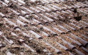 Preston Upon The Weald Moors roof cleaning companies