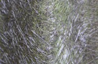 Preston Upon The Weald Moors fibreglass roof work